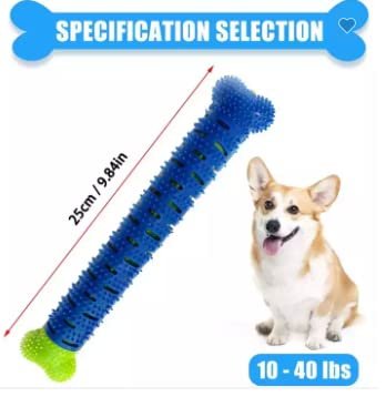 Version 1.0.0 Version 1.0.0